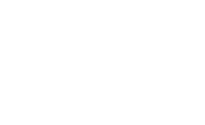 Drowning Fish Studios Logo White