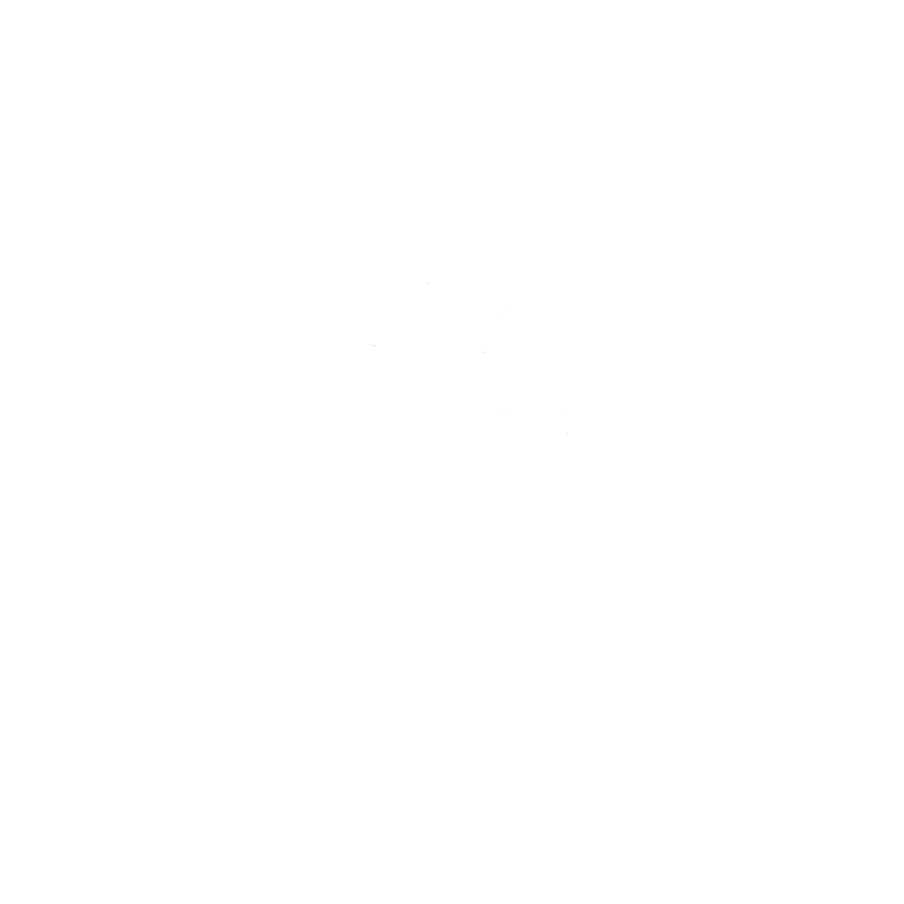 Rhythm City Collective Logo