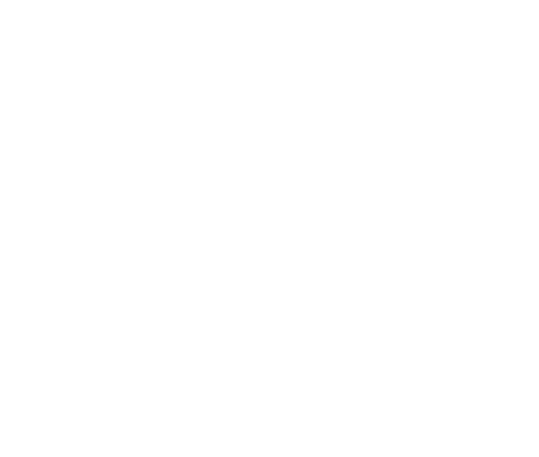 The College of New Jersey Logo White